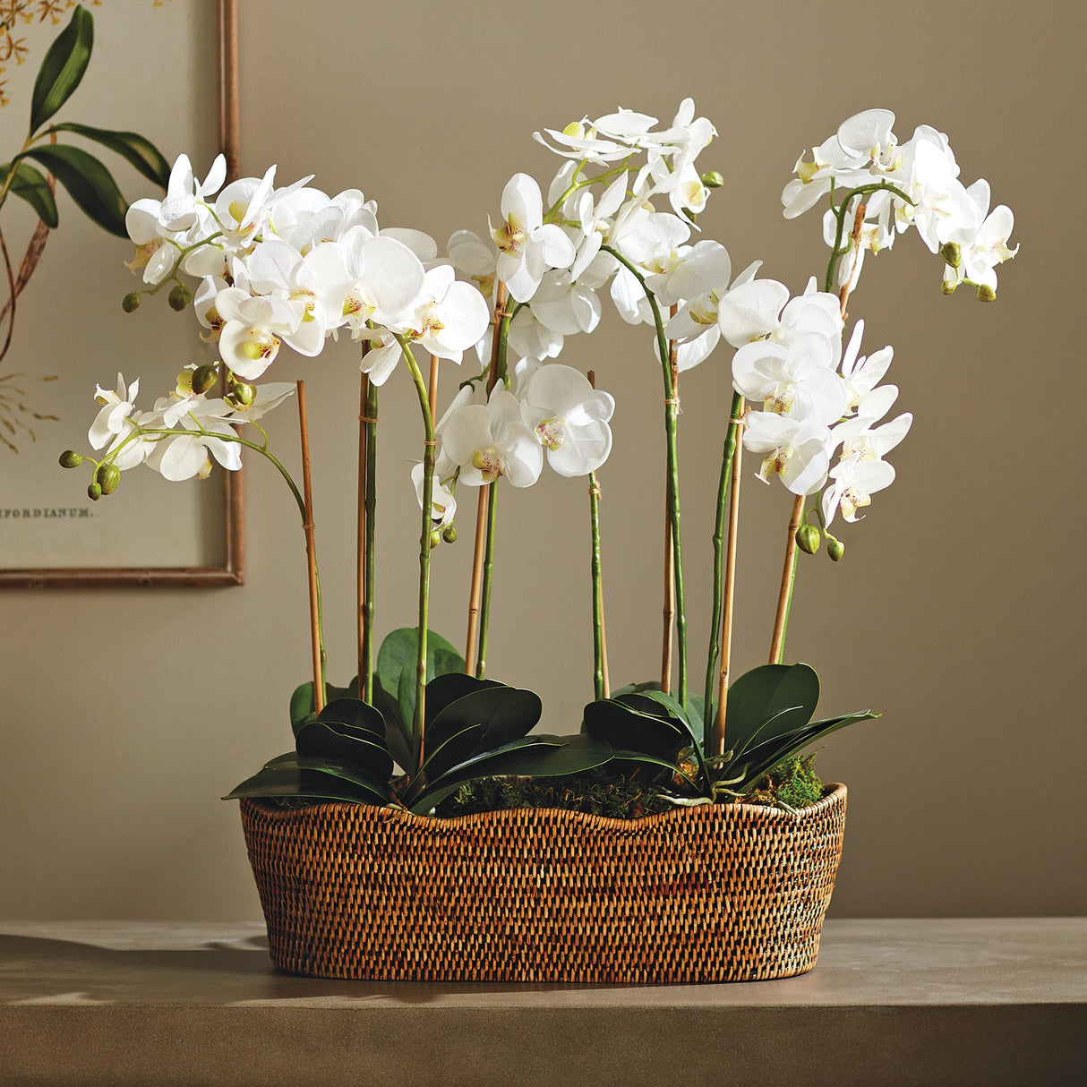 Napa  BURMA RATTAN OVAL CACHEPOT