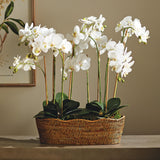 Napa  BURMA RATTAN OVAL CACHEPOT