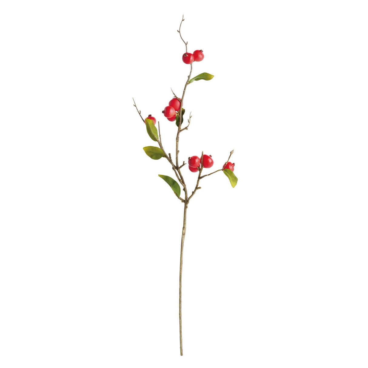 Napa  CRABAPPLE STEMS ST/6