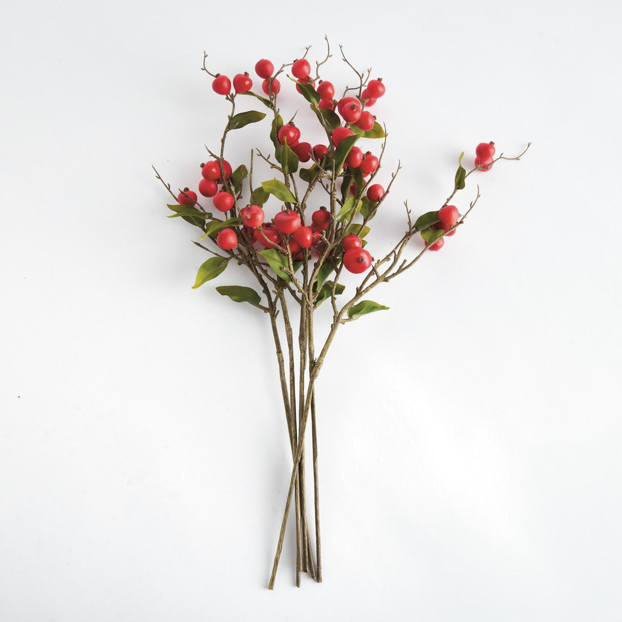 Napa  CRABAPPLE STEMS ST/6