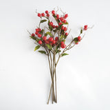 Napa  CRABAPPLE STEMS ST/6
