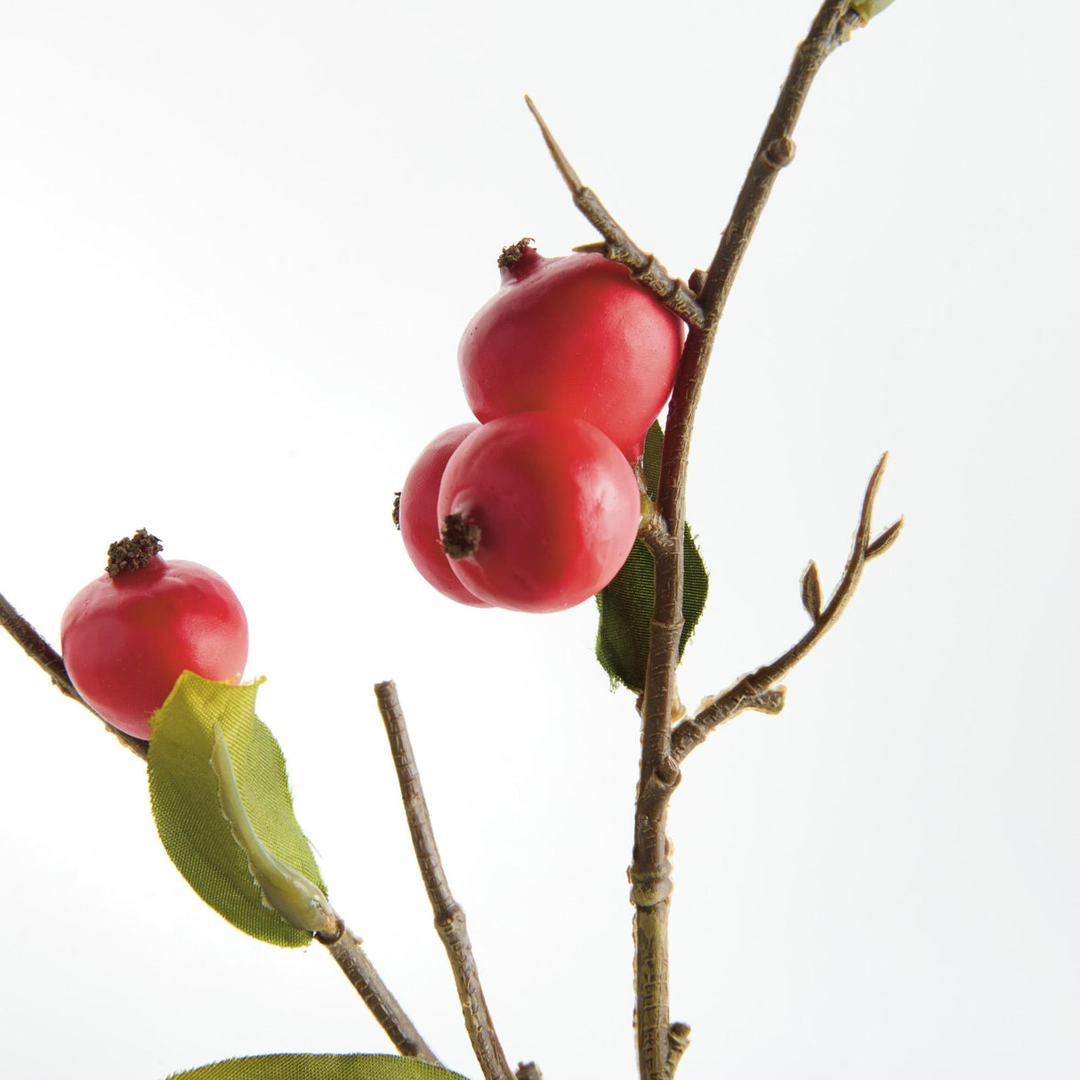 Napa  CRABAPPLE STEMS ST/6