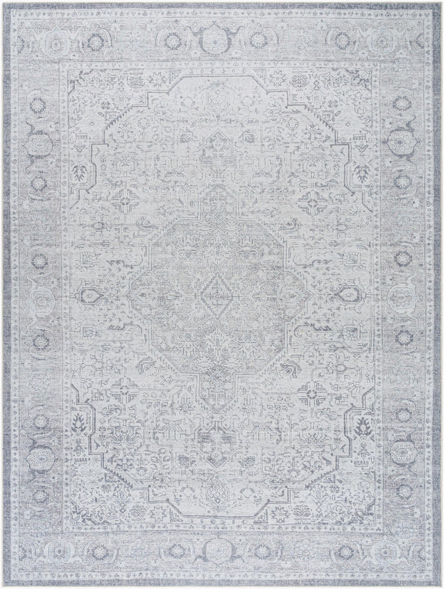 Livabliss Amelie AML-2389 7'10" x 10'2" Machine Woven Rug