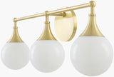 Surya Astralis ATRL-003 5"L x 23"W x 10"H Wall Lighting