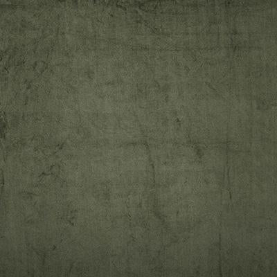 Pindler VIRGIL PESTO Fabric