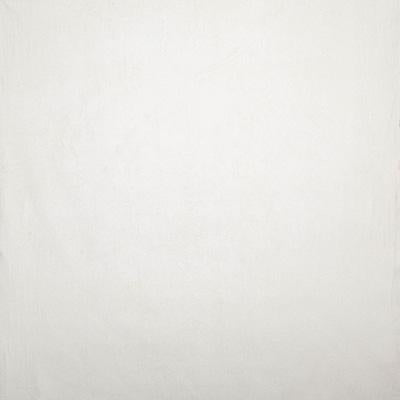 Pindler VIRGIL CREAM Fabric