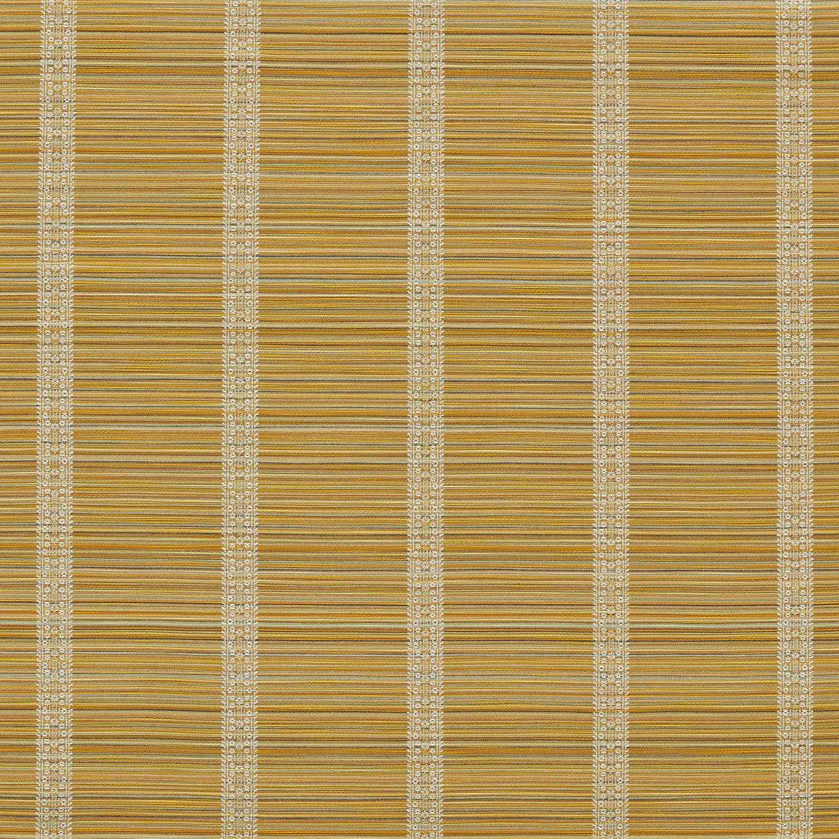 Zoffany Bellagio Stripe Silk Yellow Fabric