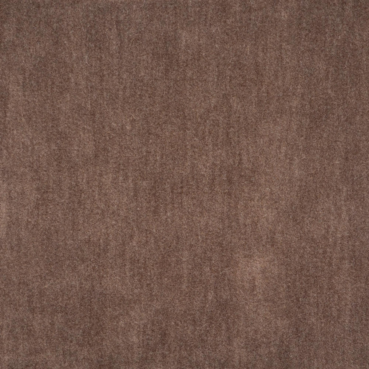 Maxwell BELLUNO #202 FIG Fabric