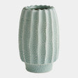 Surya GV Echinus Echinus Vase-Green 9"H x 6"W x 6"D Vase