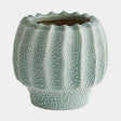 Surya GV Echinus Echinus Vase-Green 6"H x 6"W x 6"D Vase