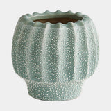Surya GV Echinus Echinus Vase-Green 6"H x 6"W x 6"D Vase