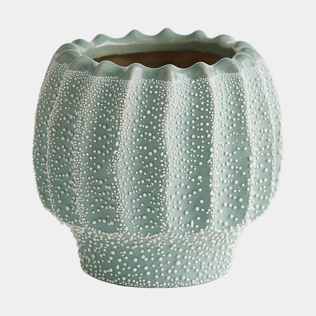Surya GV Echinus Echinus Vase-Green 6"H x 6"W x 6"D Vase