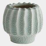Surya GV Echinus Echinus Vase-Green 6"H x 6"W x 6"D Vase