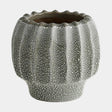 Surya GV Echinus Echinus Vase-Gray 6"H x 6"W x 6"D Vase