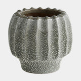 Surya GV Echinus Echinus Vase-Gray 6"H x 6"W x 6"D Vase