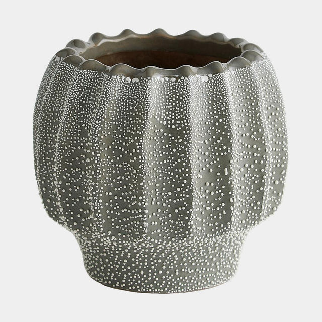 Surya GV Echinus Echinus Vase-Gray 6"H x 6"W x 6"D Vase