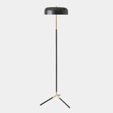 Surya GV Carly Carson Dome Floor Lamp-Black/Brass 60"H x 14"W x 14"D Floor Lighting