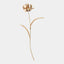 Surya GV Floral Floral Wall Art-Style C 27"H x 13"W x 8"D Wall Accent