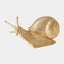 Surya GV Slowcoach Slowcoach Snail-Gold 6"H x 4"W x 10"D Decorative Sculpture