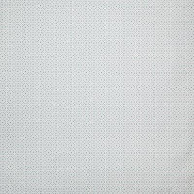 Pindler AUGUSTINE SURF Fabric