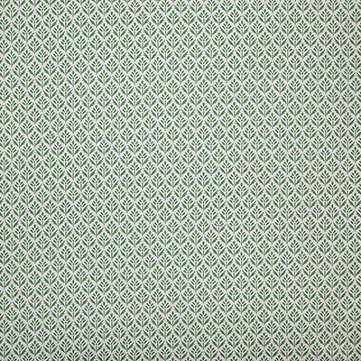 Pindler ALYS PALM Fabric