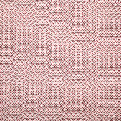 Pindler ALYS CORAL Fabric