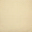 Pindler ALYS SUNNY Fabric