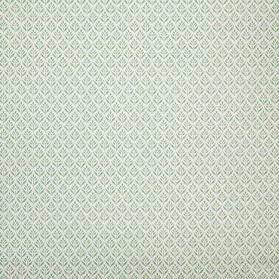 Pindler ALYS PISTACHIO Fabric