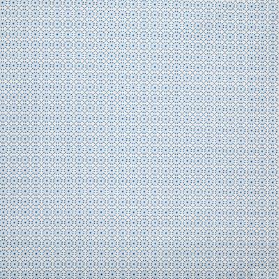 Pindler AUGUSTINE OCEAN Fabric
