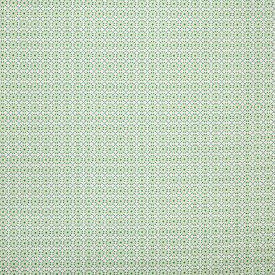 Pindler AUGUSTINE PALM Fabric