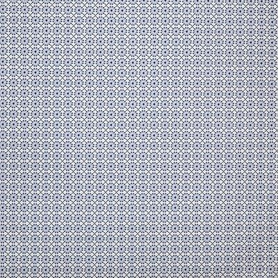 Pindler AUGUSTINE INDIGO Fabric