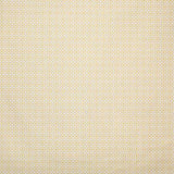 Pindler AUGUSTINE SUNNY Fabric