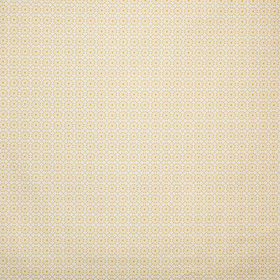 Pindler AUGUSTINE SUNNY Fabric