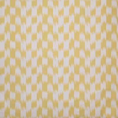 Pindler CLEARWATER SUNNY Fabric