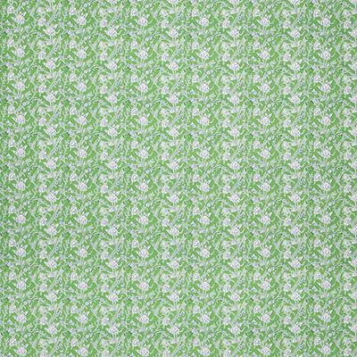 Pindler MARCO PALM Fabric