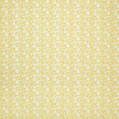 Pindler MARCO SUNNY Fabric
