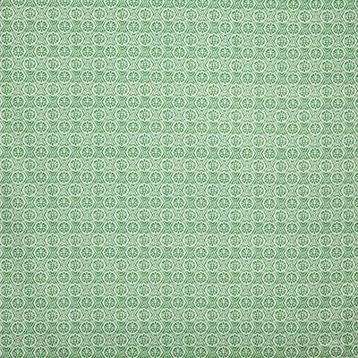 Pindler PANAMA PALM Fabric