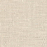 Pindler SUSANNAH SHELL Fabric