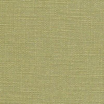 Pindler SUSANNAH PALM Fabric