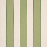 Schumacher Hospitality Blumont Stripe In/Out Kiwi Fabric