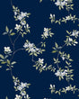 Kravet DESIGN W4452 350 Wallpaper