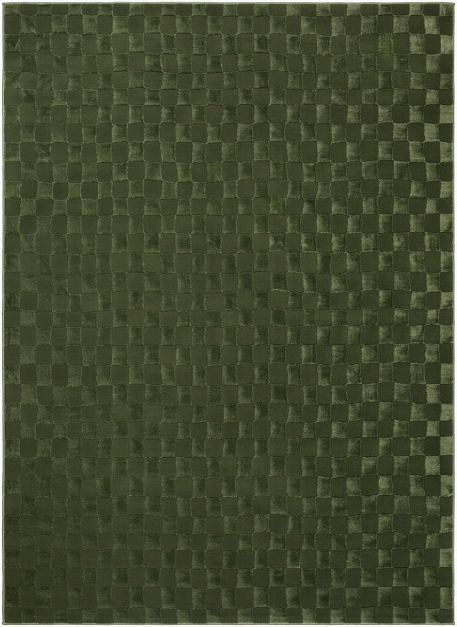 Livabliss Alder ALD-2338 5' x 7' Machine Woven Rug