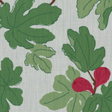 Brunschwig & Fils FIGUIER OUTDOOR BERRY/LEAF Fabric