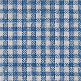 Brunschwig & Fils VESONNE CHECK DELFT Upholstery Fabric