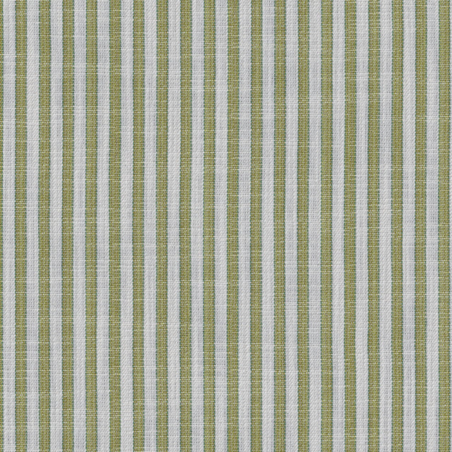Brunschwig & Fils VESONNE STRIPE LEAF Upholstery Fabric