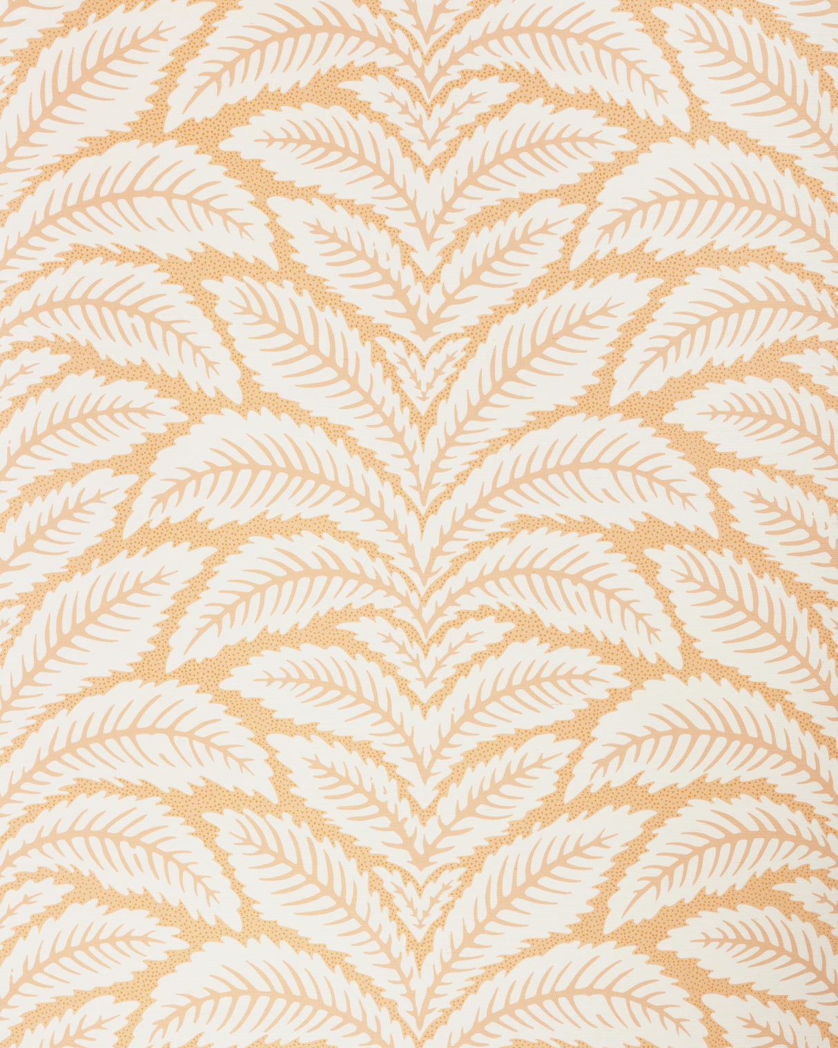 Brunschwig & Fils TALAVERA SISAL APRICOT Wallpaper