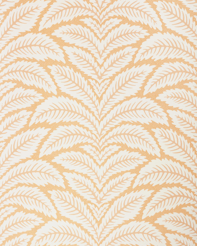Brunschwig & Fils TALAVERA SISAL APRICOT Wallpaper