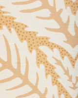 Brunschwig & Fils TALAVERA SISAL APRICOT Wallpaper