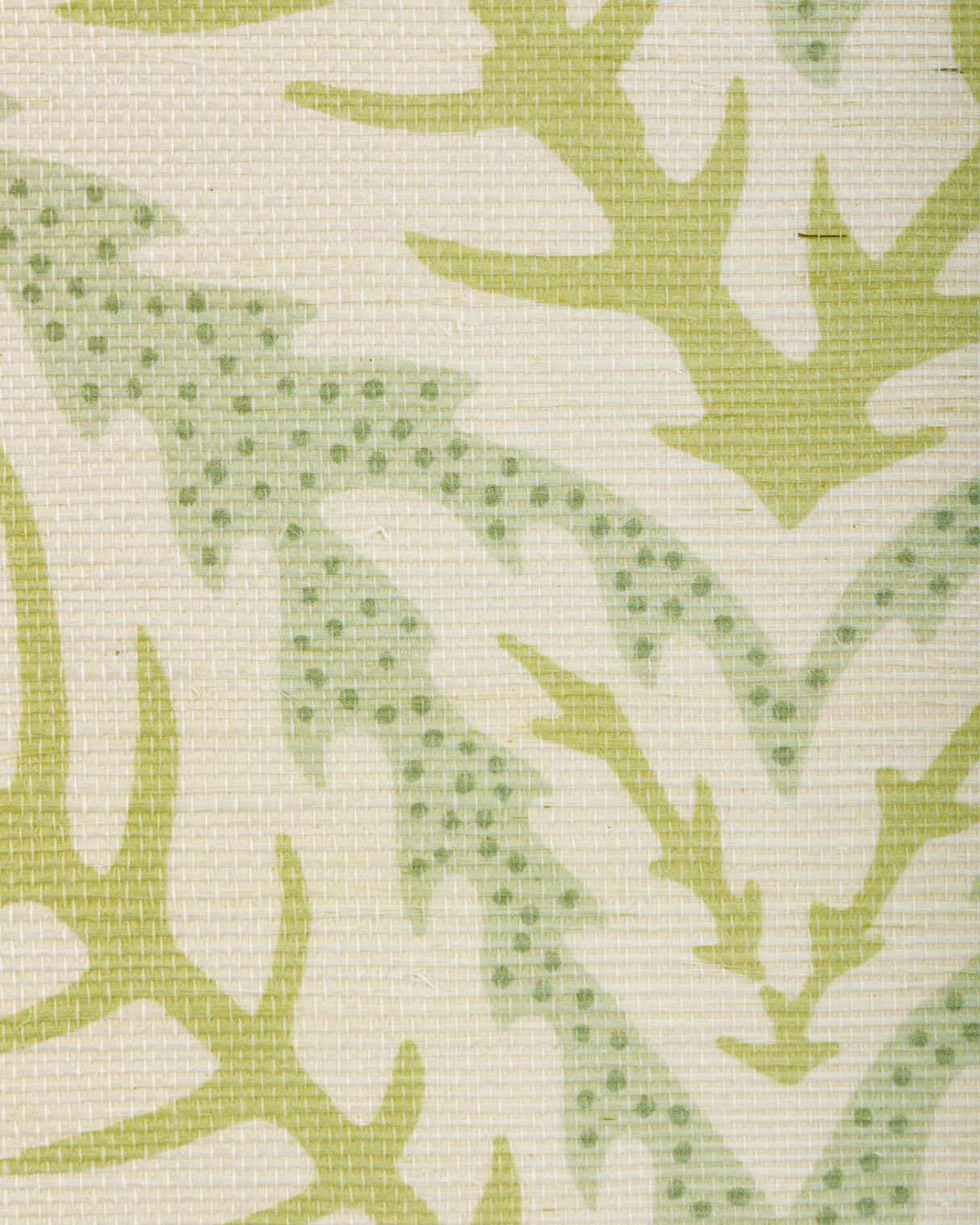 Brunschwig & Fils TALAVERA SISAL CELADON Wallpaper