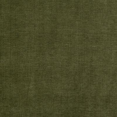 Pindler PAXTON PALM Fabric